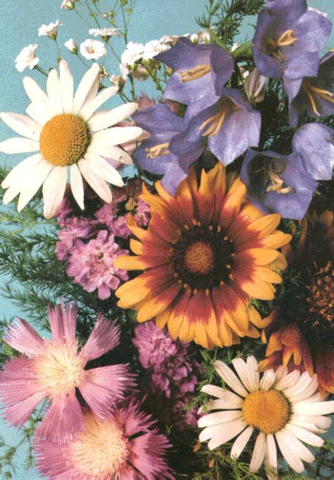 If you see some flower wallpaper tumblr you'd like to use, just click on the image to download to your desktop or mobile devices. flower gif on Tumblr