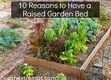 Photos of Benefit Of Raised Bed Vegetable Garden