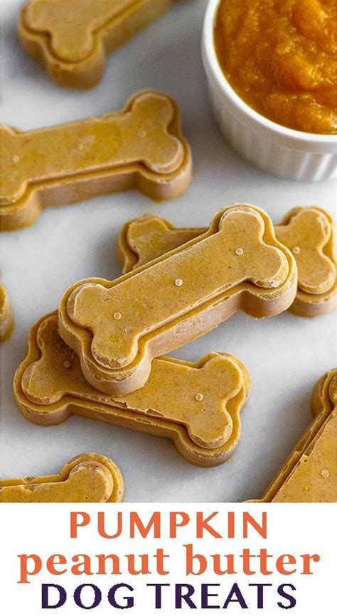 Pumpkin Peanut Butter Dog Treats Recipe Peanut Butter Dog Treats