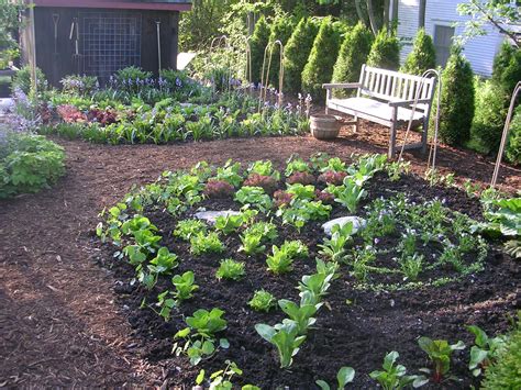 Small Kitchen Garden Design Ideas Garden Design