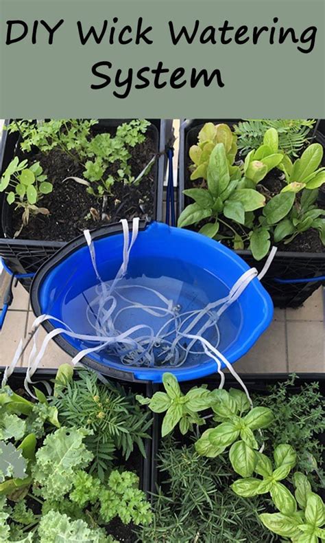 A Diy Wick Watering System Is A Simple Effective And Quick To Set Up