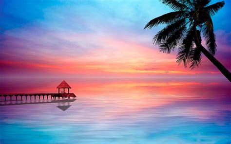 Beautiful Tropical Sunset Pictures Photos And Images For