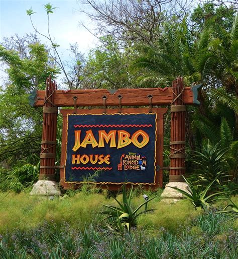 Photo Tour Of A Standard Room At Disneys Animal Kingdom Lodge Jambo