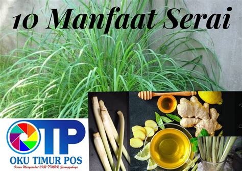 10 Manfaat Serai Bagi Kesehatan, Begini Penjelasannya