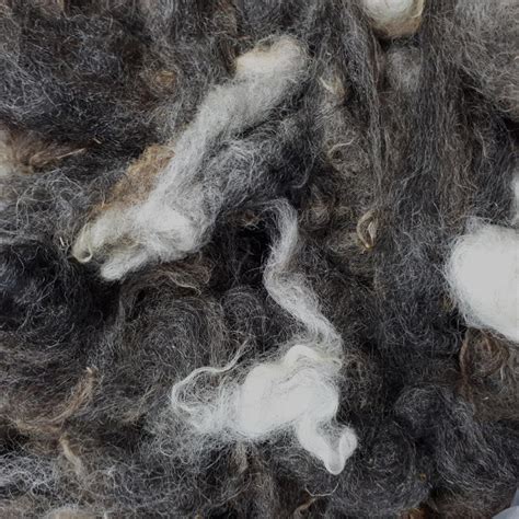 Jacob Handwashed Wool Fleece Fibres The Handweavers Studio
