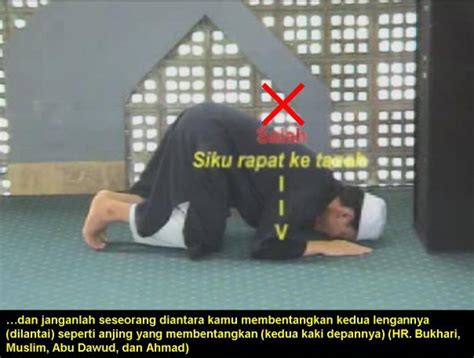 Ini adalah panduan lengkap mengerjakan solat tahajjud yang merangkumi doa, waktu, kelebihan, dan cara mengerjakan. Taman Koperasi BENA IJOK: 11/8/09 - 11/15/09