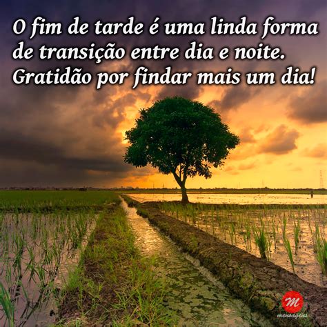 Mensagem De Finalzinho De Tarde