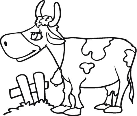 Cartoon Cow Coloring Pages Clipart Best