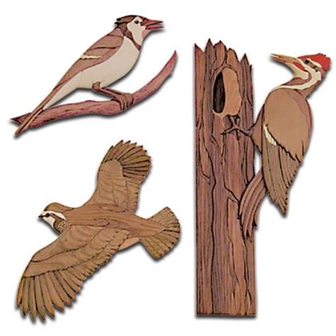 I 169 Wild Birds Intarsia Woodworking Pattern Jgr Woodworking In 2020