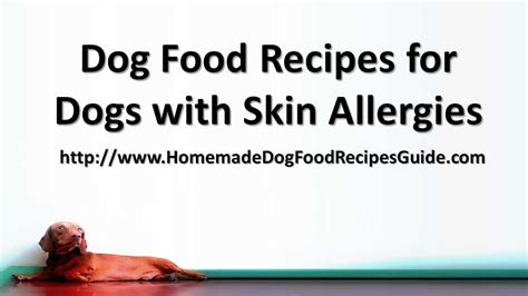 This method ensures that your dog's diet. Dog Food Recipes for Dogs with Skin Allergies - YouTube