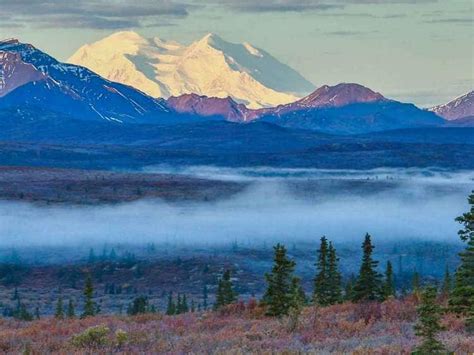 Visitors Guide To Denali National Park And Preserve In Alaska