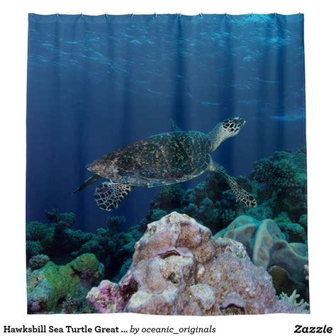 Hawksbill Sea Turtle Great Barrier Reef Coral Sea Shower