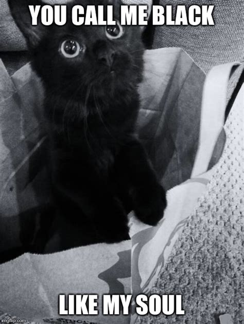 Cute Black Cat With Big Eyes Imgflip