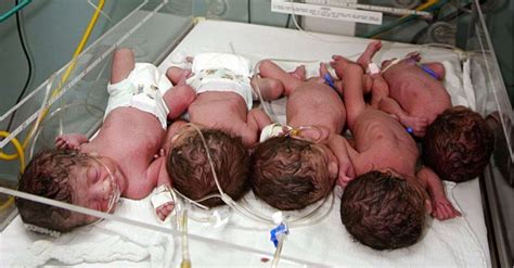 Entranced By Miracles A Marvelous Journey As Mother Welcomes Quintuplets Elevating The Joyful