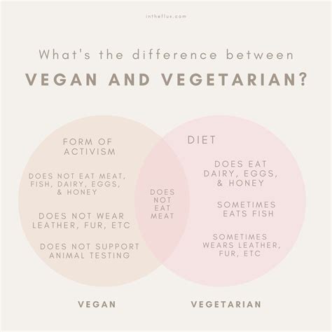 Whats The Difference Between Vegan And Vegetarian In The Flux