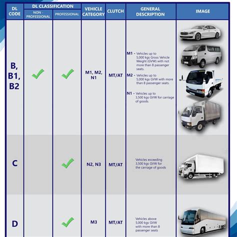 Your Clear 2023 Guide To Lto Drivers License Or Dl Codes Yugaauto