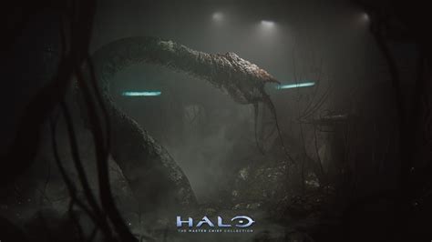 Halo Ring Wallpaper Hd 60 Images
