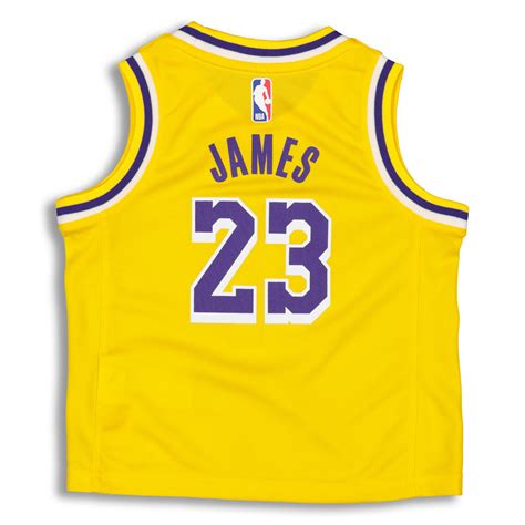 Nike Toddler Los Angeles Lakers LeBron James #23 Replica Jersey Icon png image