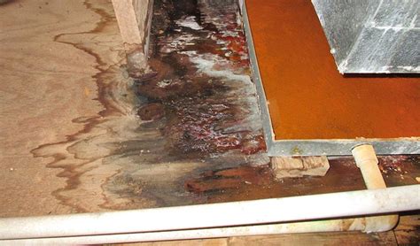 10 Most Common Sources Of Commercial Water Damage Chubb