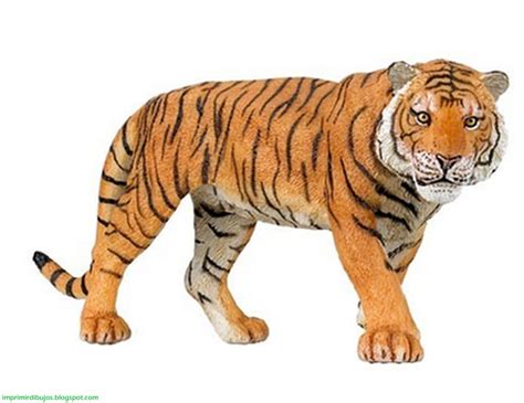 Imprimir Dibujos Animales De La Selva Para Imprimir Y Recortar