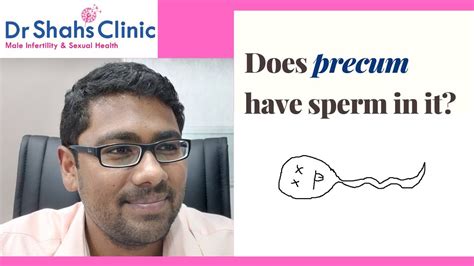 does precum have sperm in it can precum fluid cause pregnancy dr shahs clinic youtube