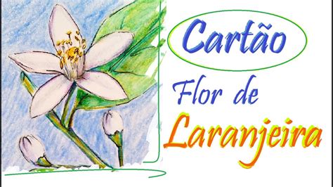 Flor De Laranjeira Desenho
