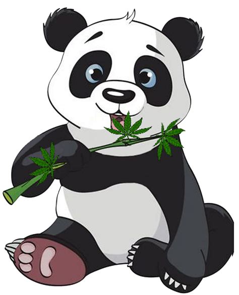 Giant Panda Red Panda Panda Illustrations Cute Panda Cartoon Panda