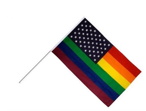 Lgbt Small Mini Rainbow Pride Hand Stick Flag Banner For Asexual Aromantic Transgender China