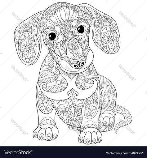 Dachshund Dog Adult Coloring Page Royalty Free Vector Image