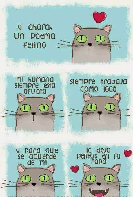 Miau Bigotes Poema Gatuno