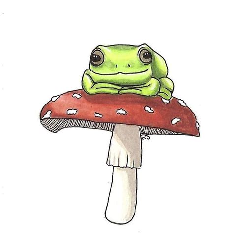 Frog On A Mushroom Frog Mushroom Drawing Frogmushroomdrawing