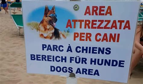 In vacanza con cani e gatti: gli hotel pet friendly in Italia (al mare