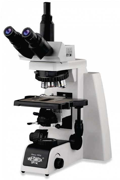 Weswox Life Science Research Microscope Weswox Scientific Industries