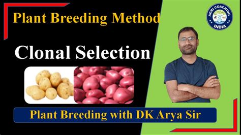 Clonal Selection Plant Breeding Methods Clonal Selection With Dk
