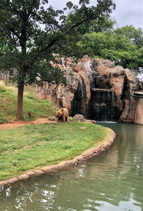 What You Need To Know Before A Visit To The Oklahoma City Zoo