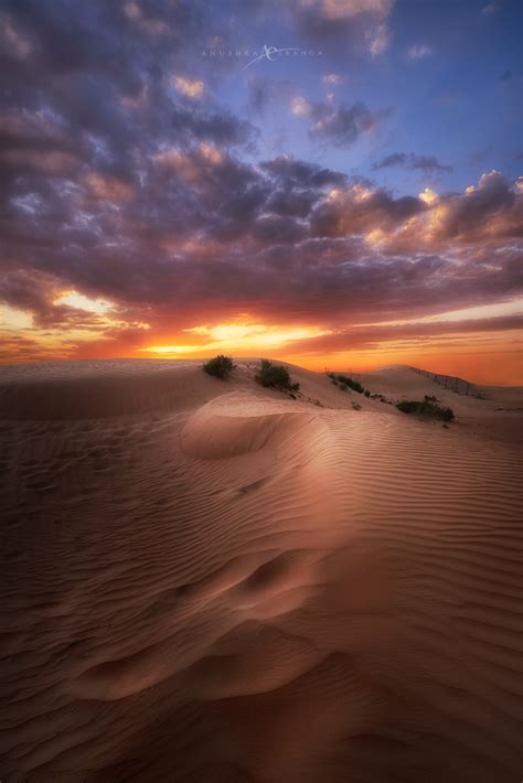 Learn To Master Desert Landscape Photography Fstoppers
