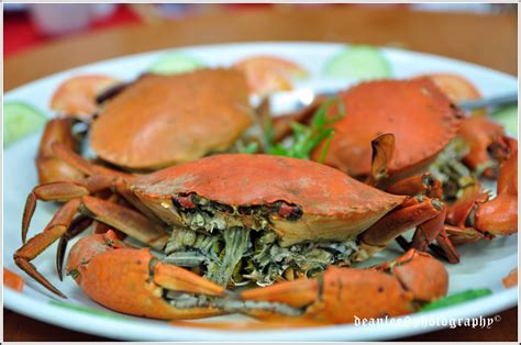 126 苦瓜面汤 @ taman bukit mayang emas, petaling jaya: DeanLee's photoblog: Crab Dinner......