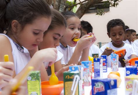 Educação Alimentar E Seus Desafios Na Contemporaneidade Brasileira Redação