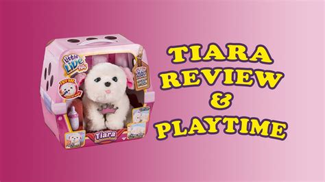 Little Live Pets Tiara My Dream Puppy Playtime And Review Youtube