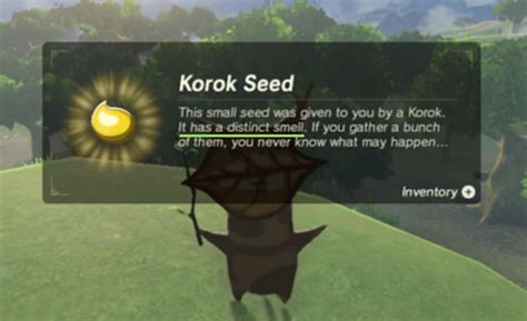 Video Games Are Korok Seeds Really Just Korok Poo Science
