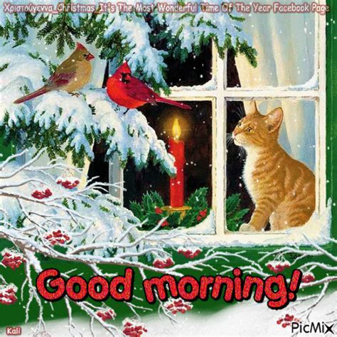 Wintry Holiday Good Morning  Pictures Photos And Images For