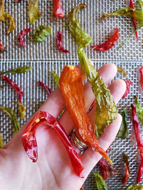 How To Make Homemade Chili Powder In 4 Simple Steps Dried Chili Peppers ~ Homestead And Chill