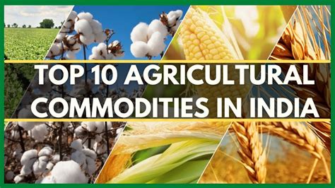 Top 10 Agricultural Commodities In India Agri Commodities Major