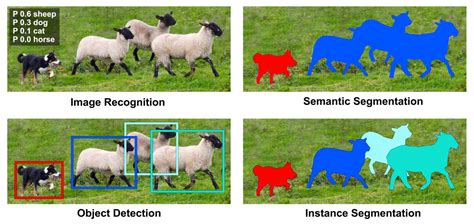 Difference In Image Classification Semantic Segmentation Object