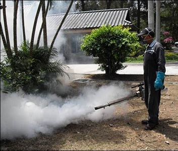 Good company for pest control which medicine they usually used its very effective and no any smell pest control service we do specialy for bedbug and cockroach lizards so just call us and use our service. M&M Pest Control Services | Herbal|Pest Control Service in ...