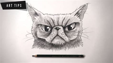 How To Draw A Grumpy Cat For Beginners Youtube