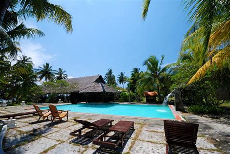 D'coconut island resort is a tropical paradise situated on the island of pulau besar, johor. Pulau Babi Besar Mersing, Johor Malaysia | Explore DD ...