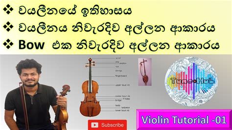 Violin Lessons In Sinhala 1 How To Hold The Violin වයලීනය නිවැරදිව
