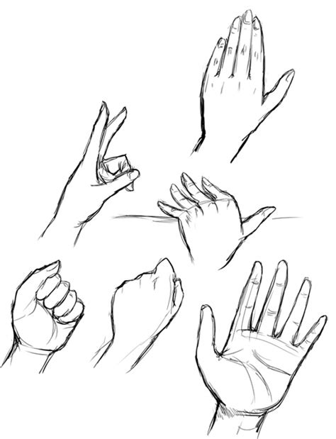 Hand Model For Drawing At Getdrawings Free Download