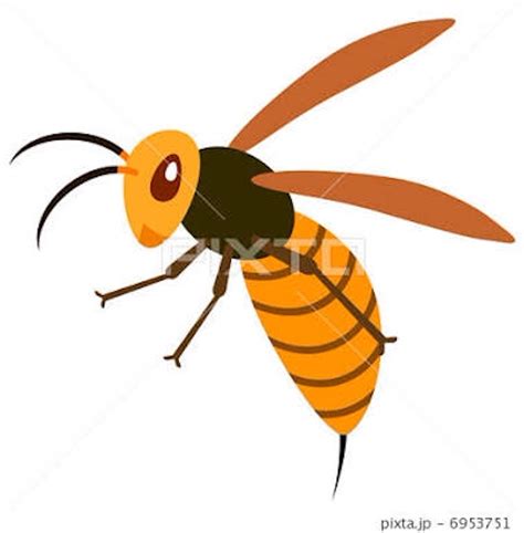 最も人気のある！ かっこいい スズメバチ 蜂 イラスト